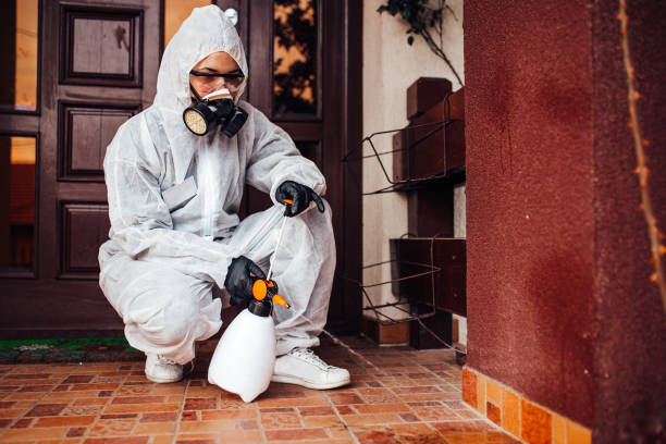 Reliable Cockroach Control contractor in Savannah, GA by Nex Pest Control